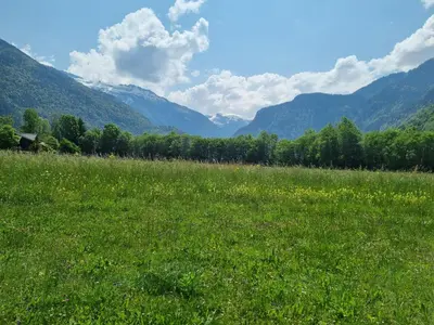 a field of green grass with mountains in the background at LE GRAND TETRAS in Samoëns