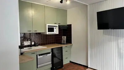 a kitchen with green cabinets and white appliances at STUDIO DENT DU CAIMAN, CHAMONIX hyper CENTRE, PARKING, VUE MONT BLANC in Chamonix-Mont-Blanc