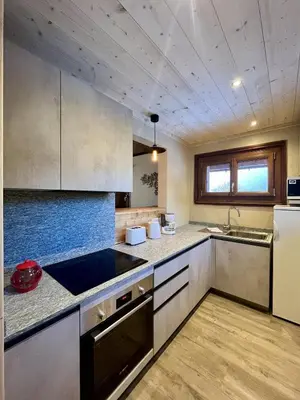 a kitchen with stainless steel appliances and a counter top at Le Chaney - T2 dans chalet - Massif du Mont-Blanc in Chamonix-Mont-Blanc