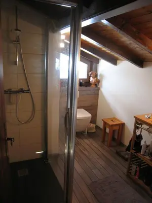 a bathroom with a shower and a toilet in a room at Les Mules in Combloux