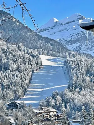 a view of a river with snow covered mountains at T3 Appartement haute-Savoie Carroz in Les Carroz d'Araches