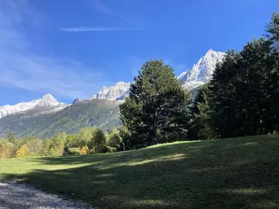 a field with trees and mountains in the background at Résidence Le Hameau Des Glaciers - Hameau des Glaciers D02 MAE-5834 in Les Houches