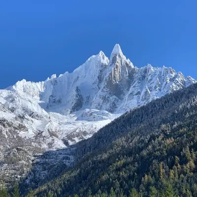 a snow covered mountain with trees in front of it at Belle Vue Des Praz in Chamonix-Mont-Blanc