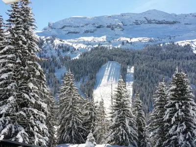 a group of snow covered trees on a mountain at Studio rénové avec cabine et balcon au centre de Flaine - FR-1-425-196 in Arâches-la-Frasse
