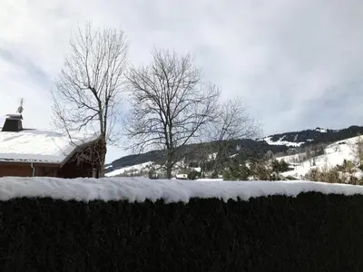a giraffe standing next to a building with snow at Résidence Edelweiss - Edelweiss B3 MAE-0844 in Megève