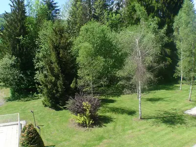an aerial view of a yard with trees at Appartement 2 pièces avec balcon à Samoëns, parking inclus - FR-1-629-121 in Samoëns