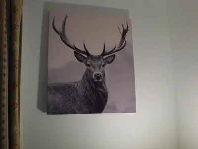 a picture of a deer on a wall at Appartement 2 pièces avec balcon à Samoëns, parking inclus - FR-1-629-121 in Samoëns