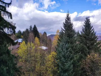 a view of a forest with trees and mountains at Spacieux T3, 6 pers, calme, balcon, parking, casier à skis, navette à 150m - FR-1-572-278 in Arâches-la-Frasse