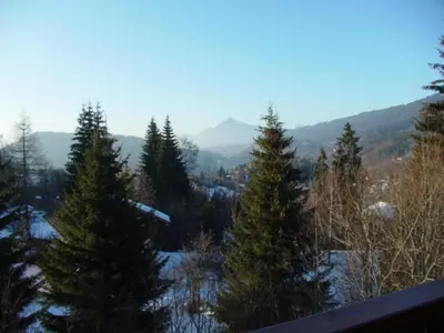 a view of a snowy forest with trees and mountains at Spacieux T3, 6 pers, calme, balcon, parking, casier à skis, navette à 150m - FR-1-572-278 in Arâches-la-Frasse