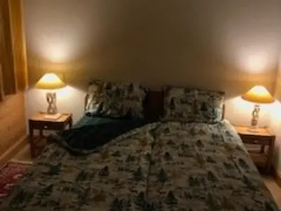 a bedroom with a bed with two lamps on two tables at Spacieux T3, 6 pers, calme, balcon, parking, casier à skis, navette à 150m - FR-1-572-278 in Arâches-la-Frasse