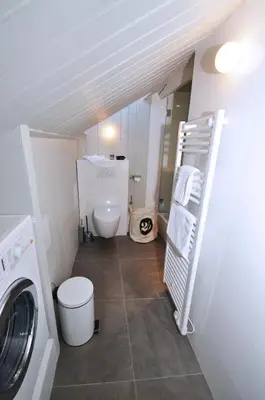 a bathroom with a washing machine and a toilet at Appartement Bellevue - centre ville in Chamonix-Mont-Blanc