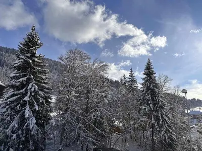 a group of trees covered in snow on a mountain at Chalet 4 chambres, 9 pers, pied des pistes, garage 2 voitures - FR-1-572-279 in Arâches-la-Frasse