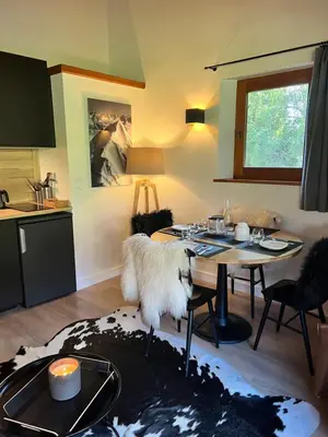a living room with a table and a kitchen at N5 Megève - Résidence de L'ours - appart 4 pers in Megève