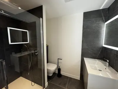 a bathroom with a toilet and a sink and a shower at Appartement de standing, au pied des pistes avec parking et WIFI, Les Carroz d'Arâches - FR-1-572-280 in Arâches-la-Frasse