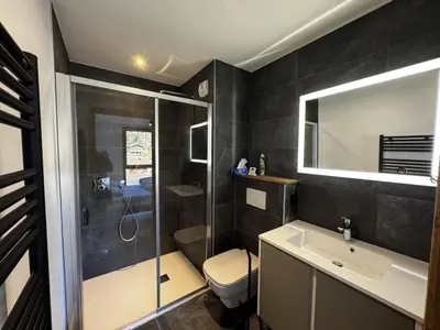a bathroom with a shower and a sink and a toilet at Appartement de standing, au pied des pistes avec parking et WIFI, Les Carroz d'Arâches - FR-1-572-280 in Arâches-la-Frasse
