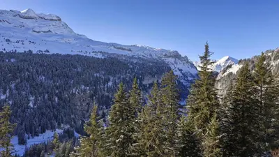 a view of a mountain with trees and snow at Résidence Les Pleiades - Appartement rénové · Centre station · Balcon · Parking couvert MAE-8234 in Magland