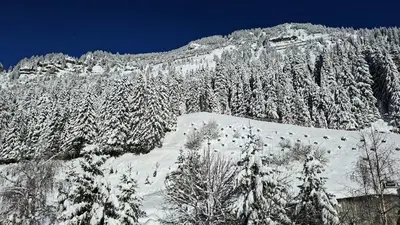 a snow covered hill with trees and a mountain at Résidence Andromede - Studio entièrement rénové · Proche des pistes MAE-8254 in Magland