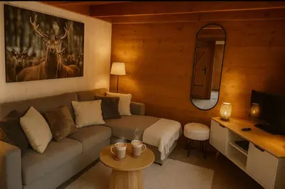 a living room with a couch and a tv at Mazot cozy chalet spirit in Chamonix in Chamonix-Mont-Blanc