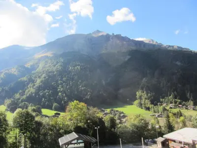 a view of a mountain with a green field at Résidence Berangere - Bérangère 33 MAE-0704 in Les Contamines-Montjoie