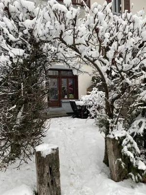 a tree covered in snow in front of a house at Mer de Glace in Chamonix-Mont-Blanc