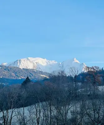 a snowy mountain range with trees and snow covered mountains at Duplex 3 chambres Vue Mont-Blanc in Domancy