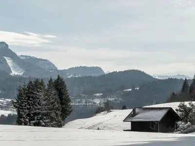 a house on a snow covered hill with trees at Charmant Studio-Cabine 4 pers, Centre-Village, Balcon Ouest, à 600m des Pistes - FR-1-572-281 in Arâches-la-Frasse