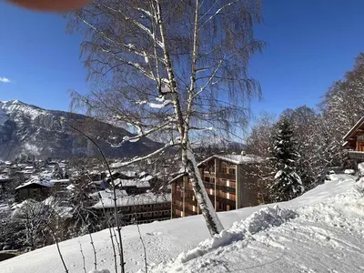 a tree in the snow in front of a building at Charmant Studio-Cabine 4 pers, Centre-Village, Balcon Ouest, à 600m des Pistes - FR-1-572-281 in Arâches-la-Frasse