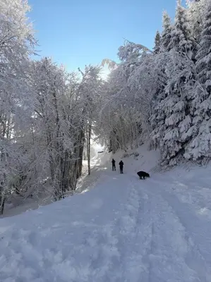 two people and a dog walking down a snow covered path at Le cocon du Bettex 1400 - Cozy Apt near Mont Blanc in Saint-Gervais-les-Bains