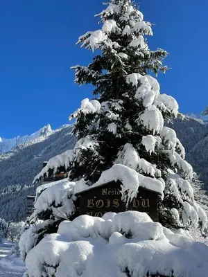 a snow covered christmas tree in front of a sign at Résidence Bois du Bouchet, appartement vue montagne, calme, parking gratuit, proche centre in Chamonix-Mont-Blanc