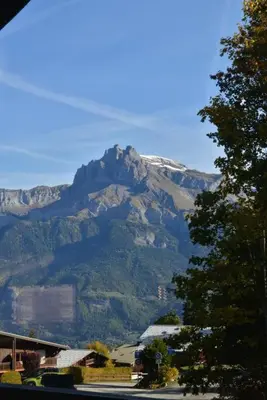 a mountain in the distance with a tree at Chalet de luxe sur les pistes - 5 chambres in Combloux