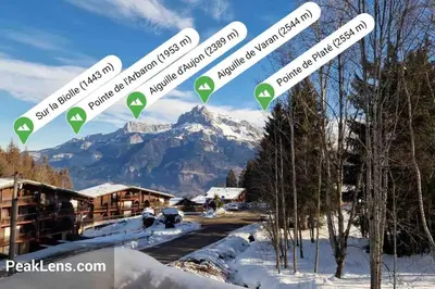a view of a mountain in the snow at Chalet de luxe sur les pistes - 5 chambres in Combloux