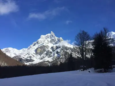 a mountain covered in snow with trees in the foreground at Gîte Ferme Sixt-Fer-à-Cheval in Sixt