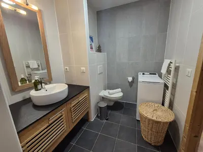 a bathroom with a sink and a toilet at Chez Charles I Vallorcine Viachamonix in Vallorcine