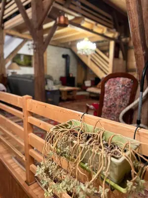 a wooden bench with plants on it in a room at Ferme savoyarde rénovée 2 chambres in Les Carroz d'Araches
