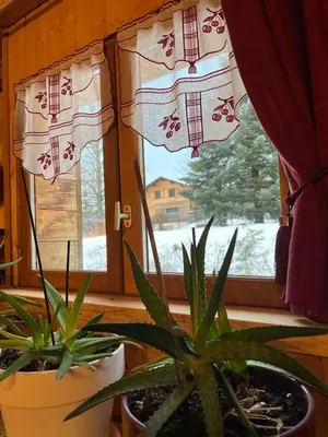 a window with a potted plant in front of it at Ferme savoyarde rénovée 2 chambres in Les Carroz d'Araches