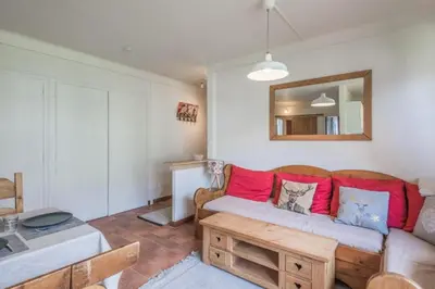 a living room with a couch and a table at Appartement Cosy, Chamonix Centre in Chamonix-Mont-Blanc