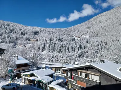a ski resort with snow covered trees on a mountain at Refuge des Alpages - Duplex - Vue Aiguillette des Houches in Les Houches