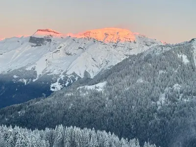 a snow covered mountain with trees in the foreground at Samoens 1600 les cimes in Samoëns