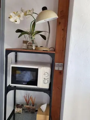 a microwave on a shelf with a lamp and flowers at Vue magique in Sallanches