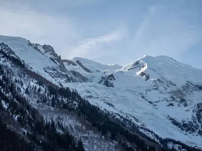 a snow covered mountain with trees on it at Appartement hyper centre, idéal pour 4 pers possibilité 6 couchages in Chamonix-Mont-Blanc