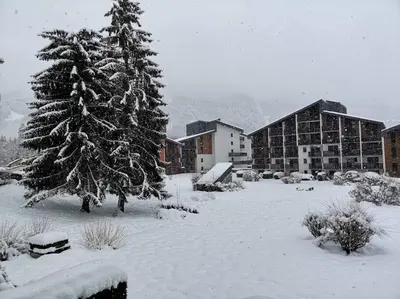a snow covered yard with a pine tree and buildings at Appartement rénové avec parking plein centre in Samoëns