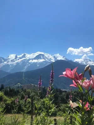 a field of flowers with mountains in the background at Appartement au pays du Mont-Blanc in Sallanches