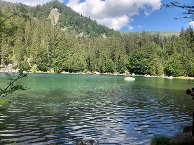 a view of a large emerald green lake with trees at Appartement au pays du Mont-Blanc in Sallanches