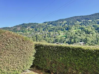 a hedge in front of auliculiculiculiculiculiculiculiculiculic at Studio Cabine pour 4 Pers à Deux Pas du Domaine Evasion Megève - FR-1-560-104 in Demi-Quartier