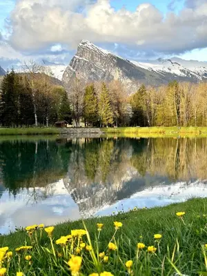 a mountain reflection in a lake with yellow flowers at Bungalow 3 chambres pour 6 pers avec Climatisation Camping 3 etoiles in Samoëns